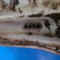 Диск R18 AUDI A6 (C7) 11-18 - Превью 18
