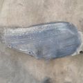 EG21-56-131A | Подкрылок передн. прав. MAZDA CX-7 06-12 - Превью 2