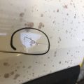 6700442190 | Двері задн. лів. TOYOTA RAV4 18- - Прев'ю 6