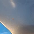 GS1D-52-210C | Крыло переднее лев. MAZDA 6 GH 07-12 - Превью 3