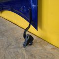 5330147110 | Капот TOYOTA PRIUS 16- - Прев'ю 8