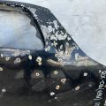 53301-48010 | Капот LEXUS RX300 98-03 - Прев'ю 5