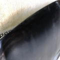 51883012 | Капот FIAT 500L 12- - Прев'ю 5