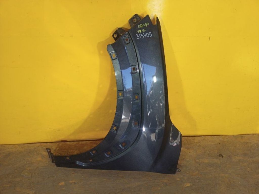 66311-J9000 | Крыло переднее лев. HYUNDAI KONA OS 17-23