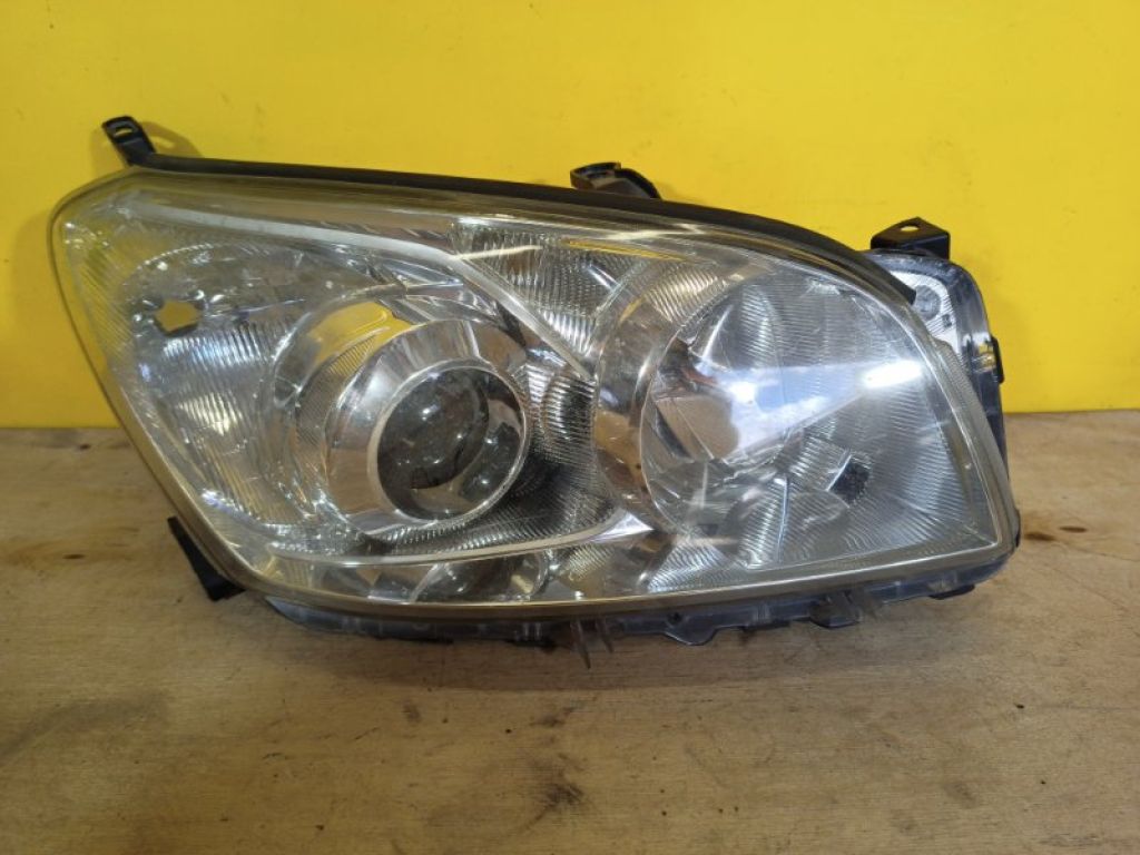 8113042430 | Фара прав. TOYOTA RAV4 05-12