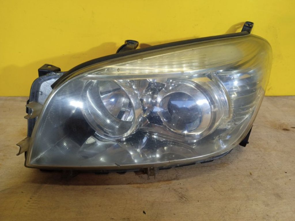 8117042360 | Фара лів. TOYOTA RAV4 05-12