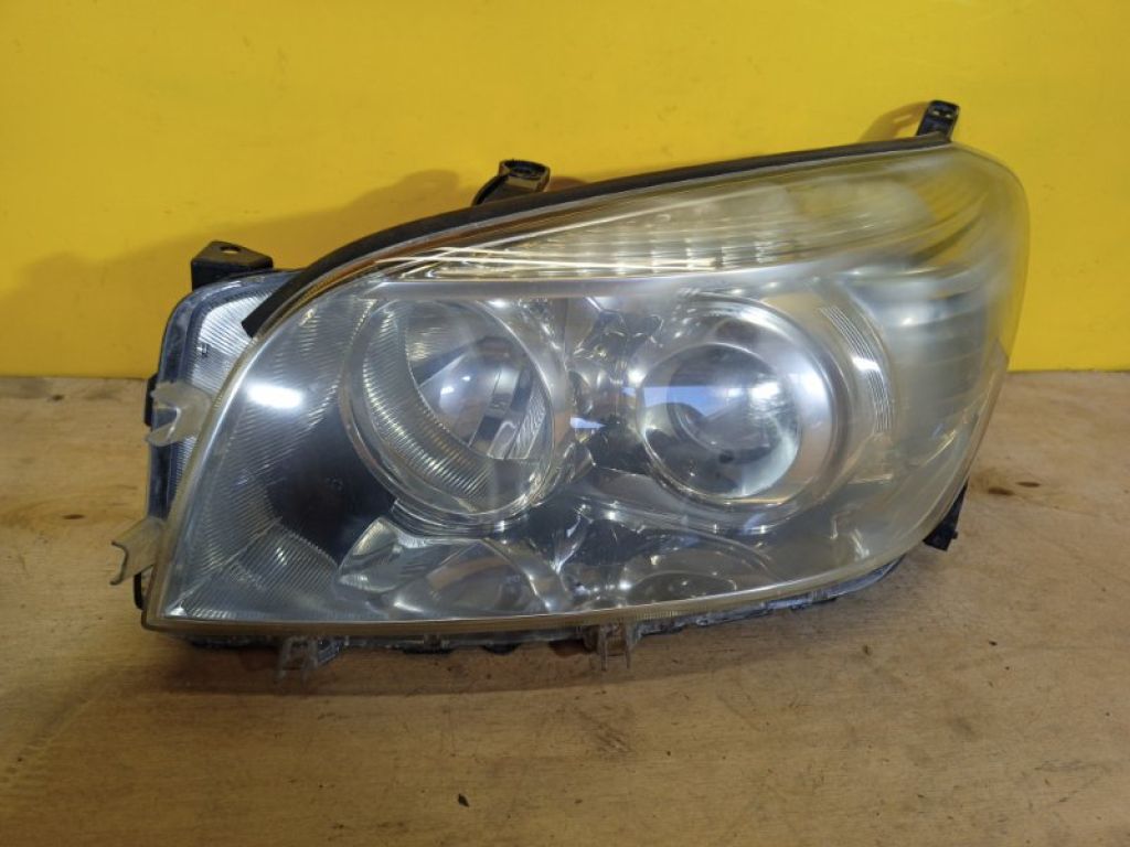 8117042360 | Фара лев. TOYOTA RAV4 05-12