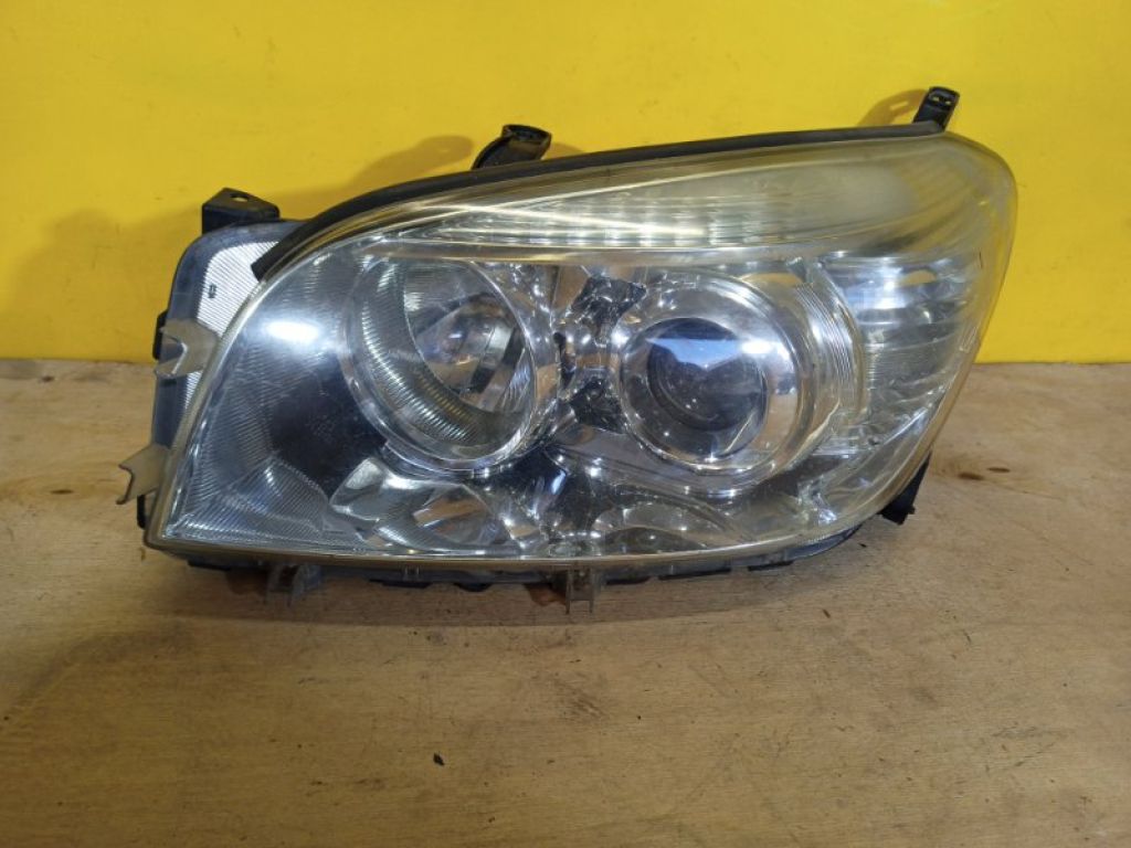 8117042360 | Фара лів. TOYOTA RAV4 05-12