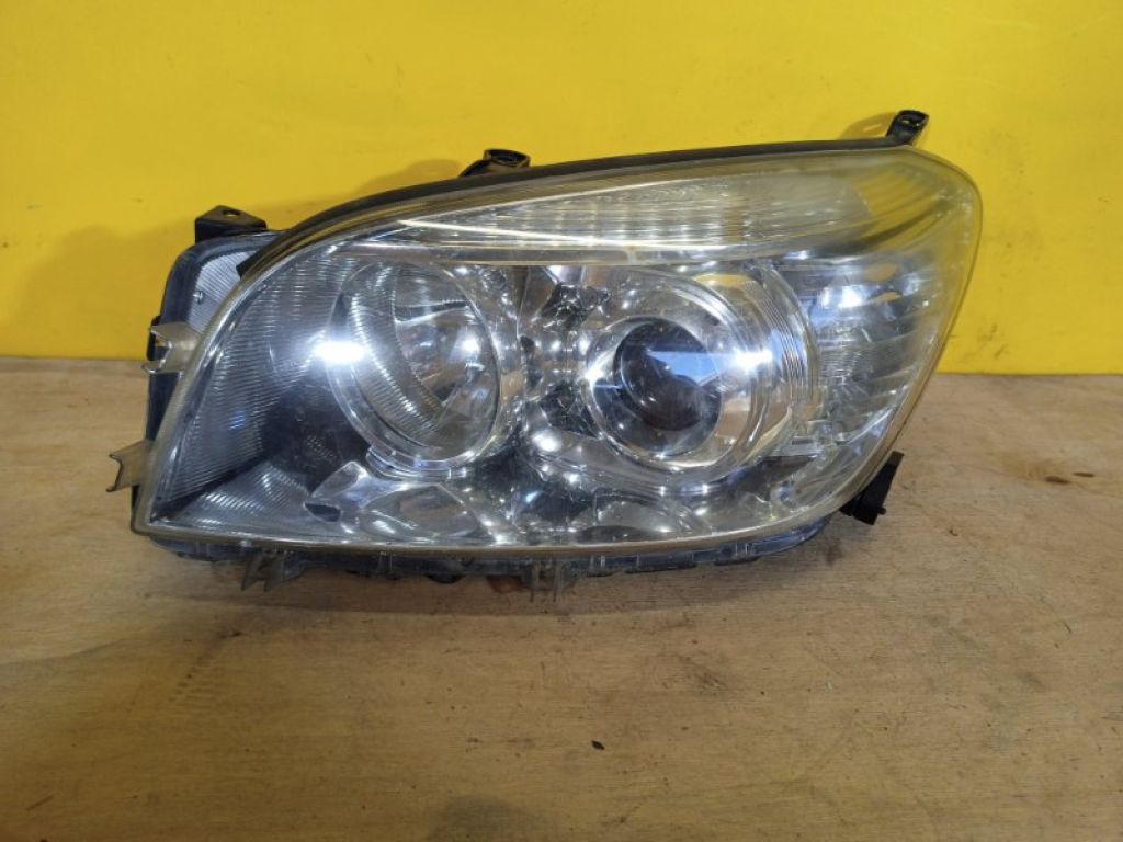 8117042360 | Фара лів. TOYOTA RAV4 05-12