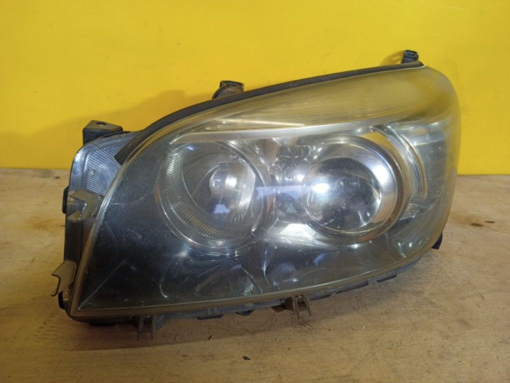 8117042360 | Фара лів. TOYOTA RAV4 05-12