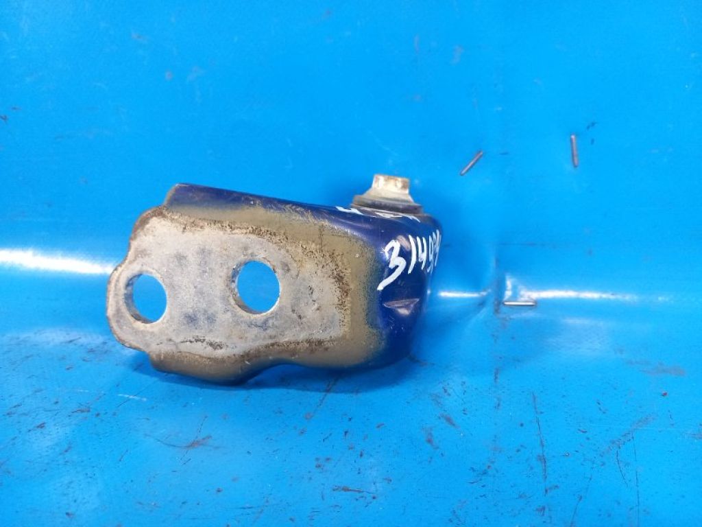 CJ5Z-7822810-A | Петля двері нижня прав. FORD FUSION 14-