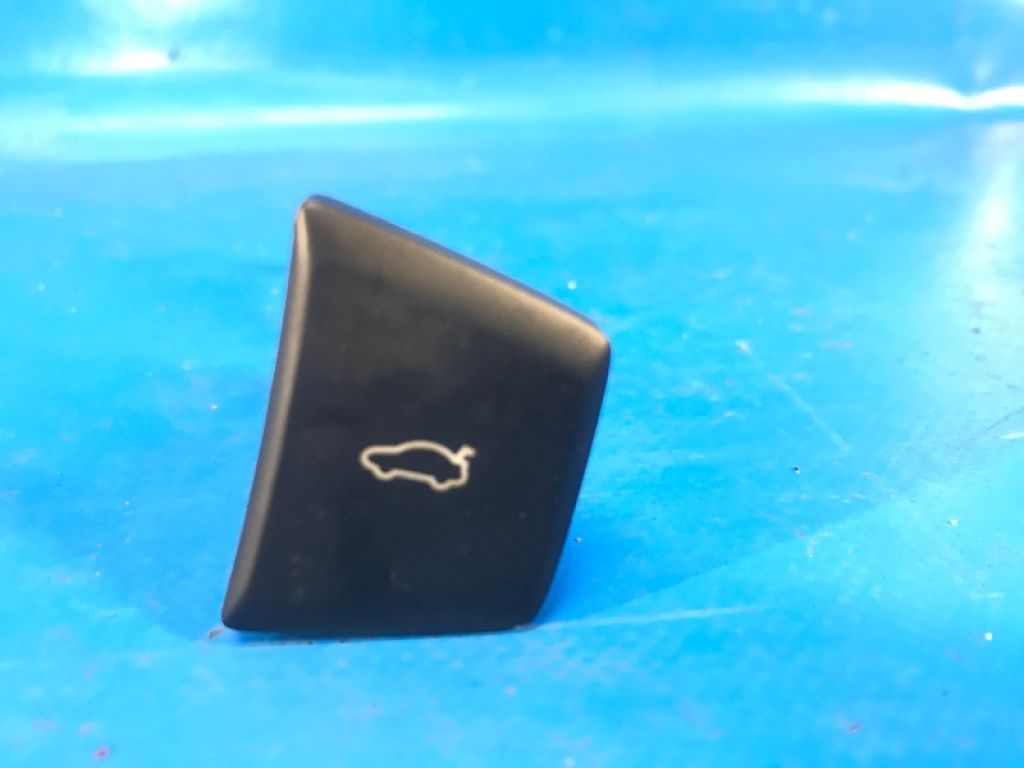 DP5Z-54432A38-AA | Кнопка відкриття багажника внутрішня LINCOLN MKZ 13-20