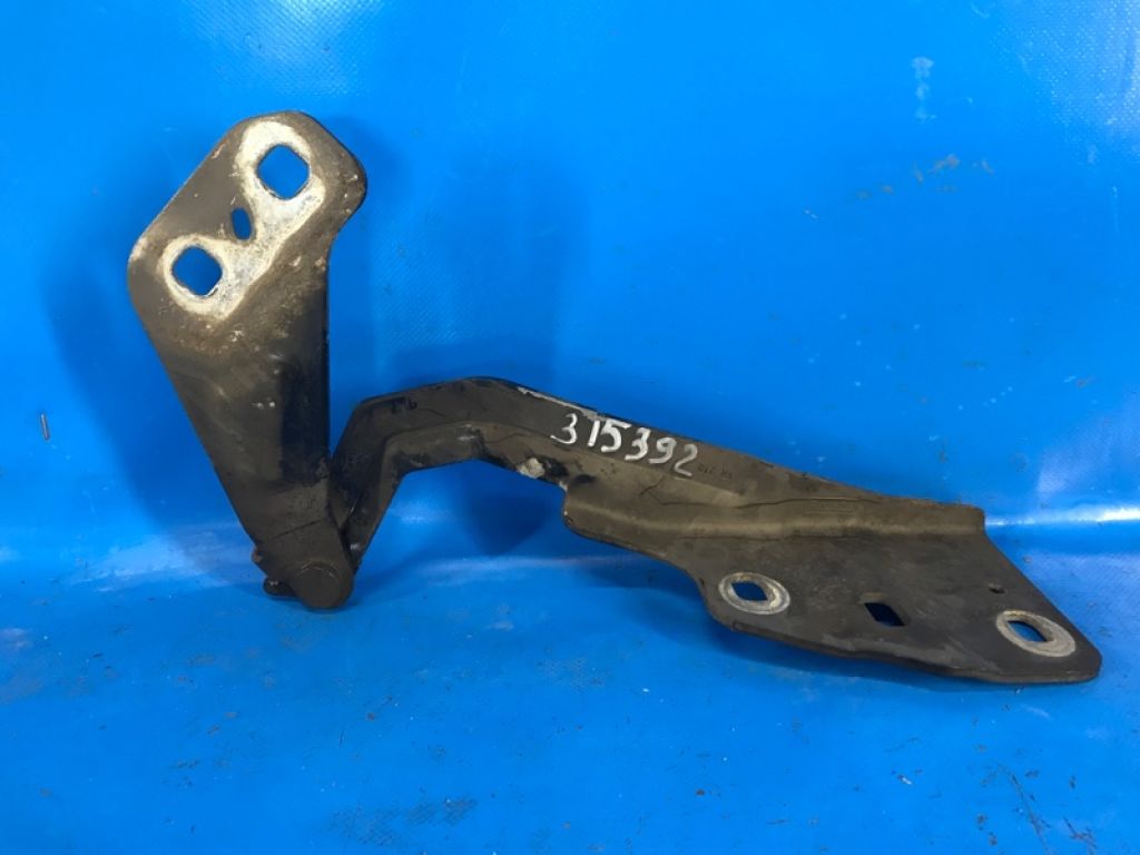 DP5Z-16796-A | Петля капоту прав. LINCOLN MKZ 13-20