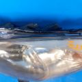 BBM6-51-041F | Фара лів. MAZDA 3 BL 09-13 - Прев'ю 5