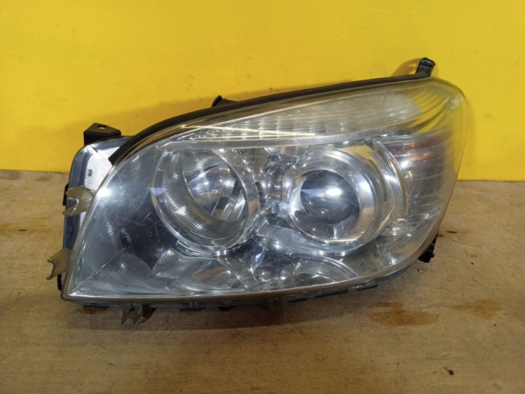 8117042360 | Фара лів. TOYOTA RAV4 05-12