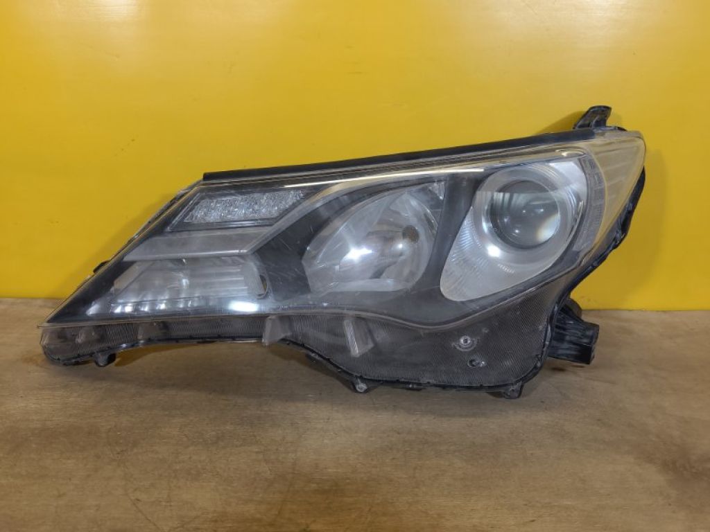 8118542572 | Фара лів. TOYOTA RAV4 13-19