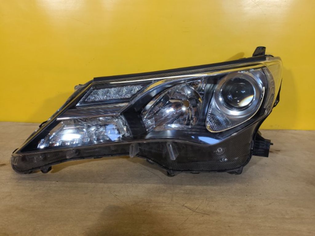 8118542572 | Фара лев. TOYOTA RAV4 13-19