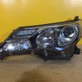 8118542572 | Фара лев. TOYOTA RAV4 13-19