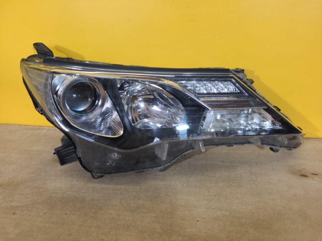 8114542572 | Фара прав. TOYOTA RAV4 13-19