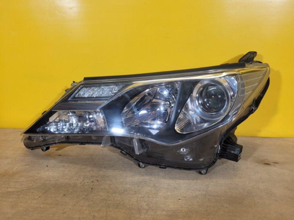 8118542572 | Фара лів. TOYOTA RAV4 13-19
