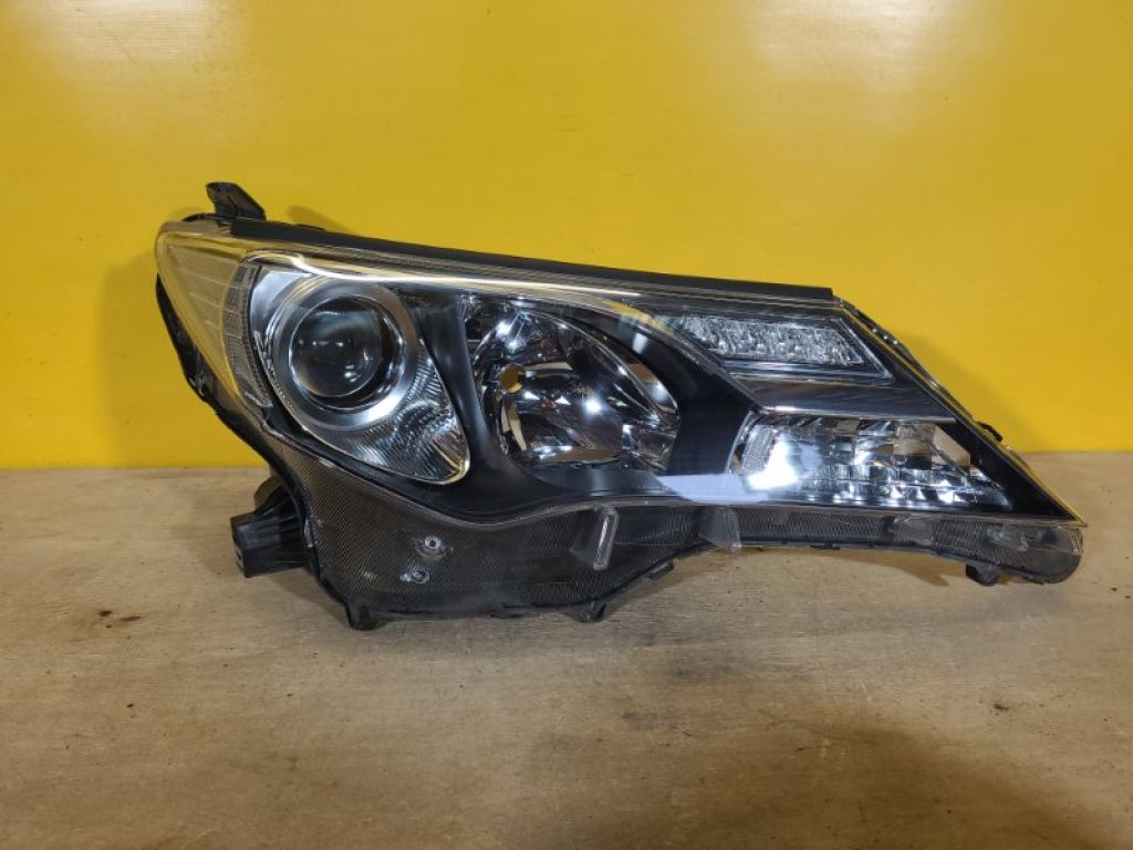 8114542572 | Фара прав. TOYOTA RAV4 13-19