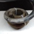 8R0 511 115 BP | Пружина задней подвески AUDI Q5 08-16 - Превью 2