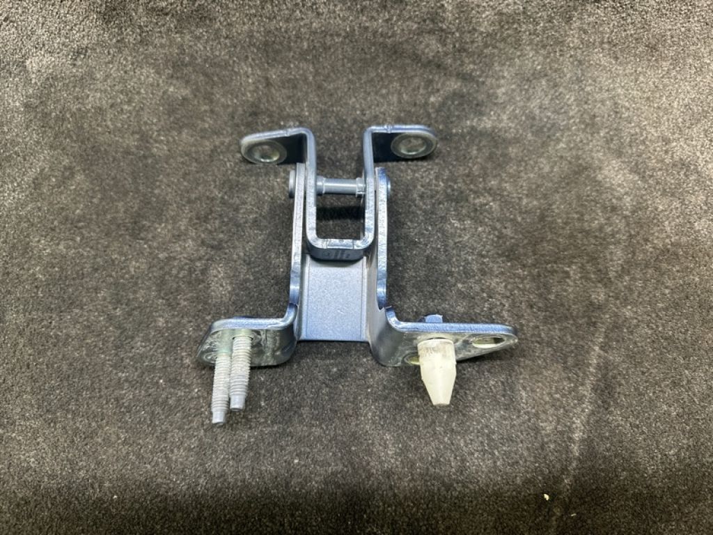 CN1Z-7426800-B | Петля дверей багажника FORD ECOSPORT 18-22 - Фото 2