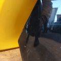 53811-42330 | Крыло переднее прав. TOYOTA RAV4 18- - Превью 8