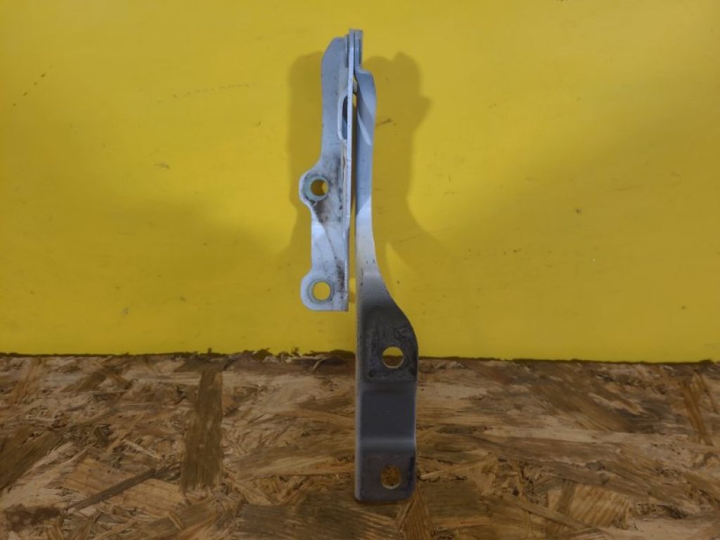 79110-J9000 | Петля капота лев. HYUNDAI KONA OS 17-23 - Фото 2