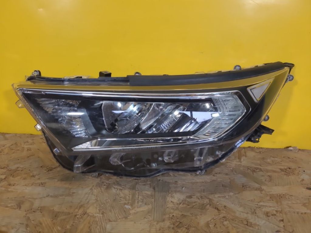 8118542842 | Фара лів. TOYOTA RAV4 18-