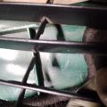 53112-12130 | Решетка переднего бампера TOYOTA COROLLA 150 06-13 - Превью 6