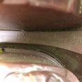 8156142080 | Фонарь наружный лев. TOYOTA RAV4 00-05 - Превью 6