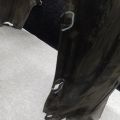 53806-33020 | Подкрылок передн. лев. TOYOTA CAMRY 40 06-11 - Превью 3
