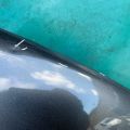 DS7Z-16612-B | Капот FORD FUSION 14- - Прев'ю 8