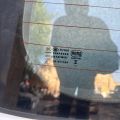 6700542372 | Крышка багажника TOYOTA RAV4 05-12 - Превью 7