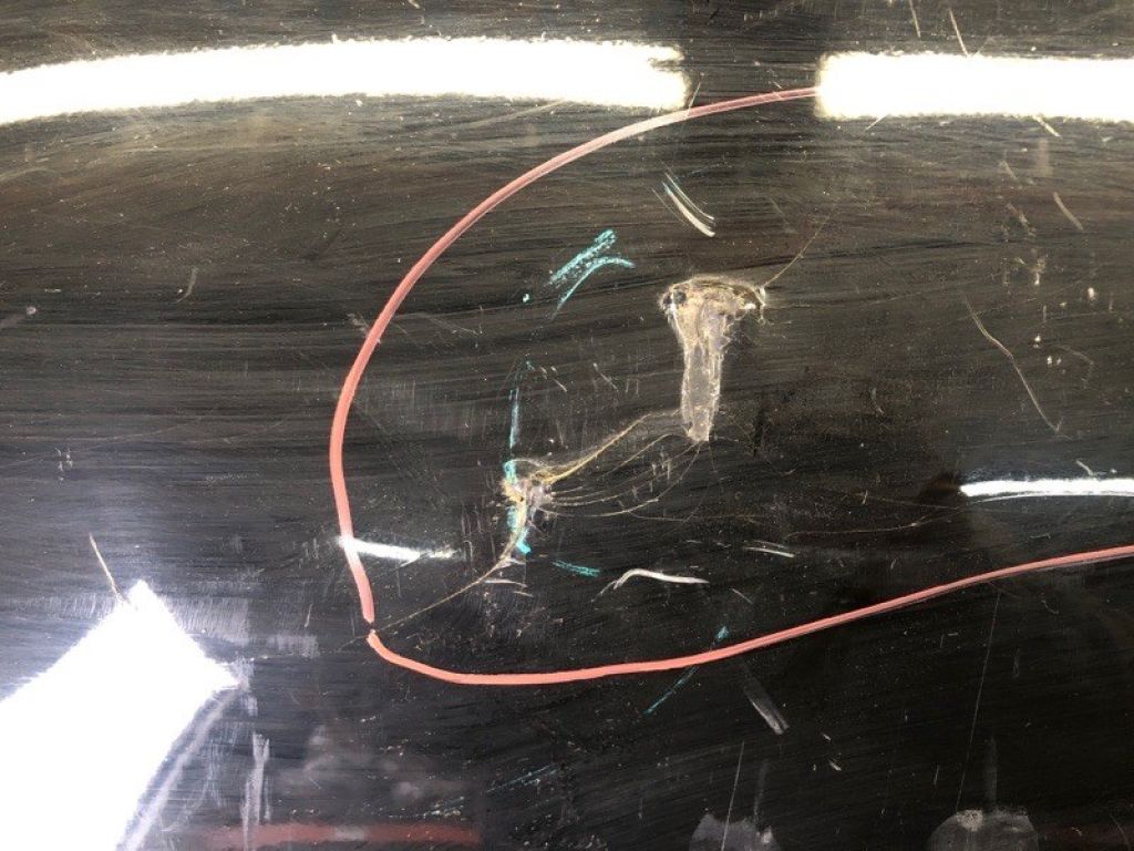 71501-T2F-A000 | Бампер задній HONDA ACCORD CR 13-18 - Фото 20