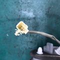 81580-06120 | Фонарь внутренний прав. TOYOTA CAMRY 40 06-11 - Превью 3