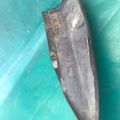 DS7Z-17810-CACP | Накладка бампера задн. FORD FUSION 14- - Превью 5