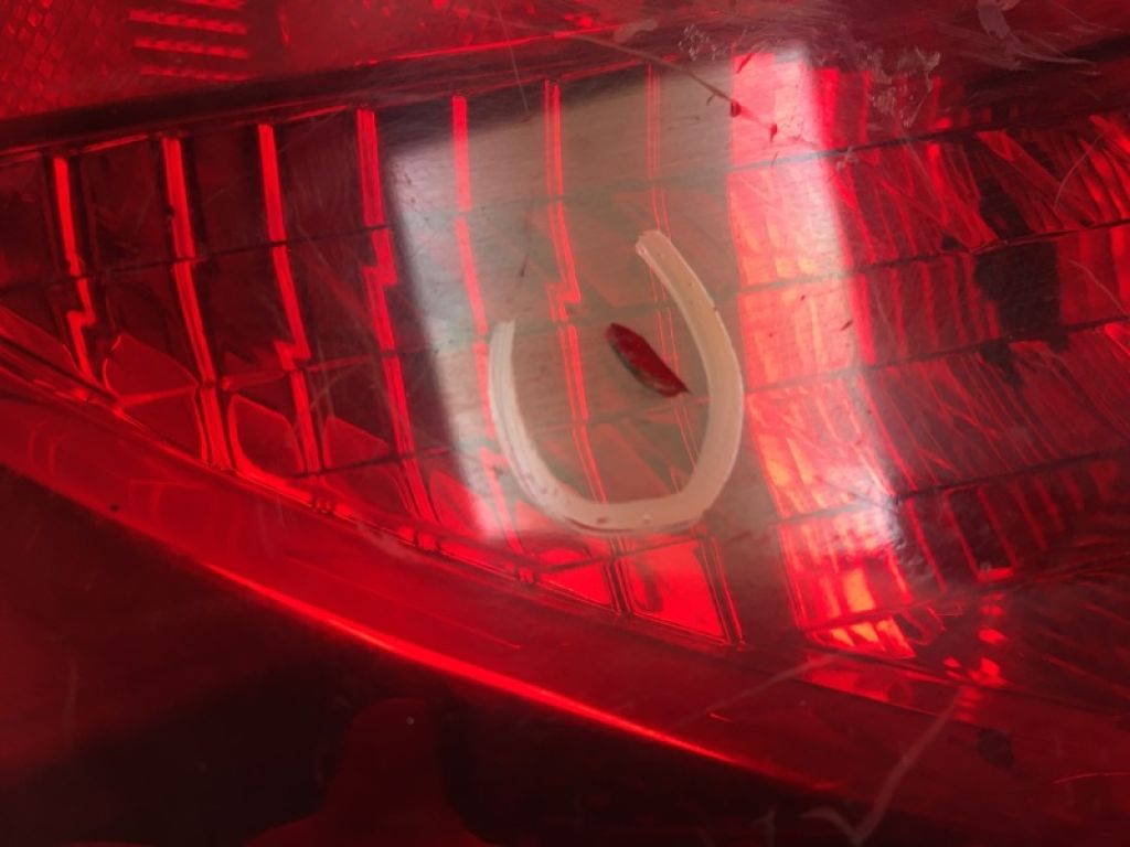 33550-TE0-A01 | Фонарь наружный лев. HONDA ACCORD COUPE 07-12 - Фото 9