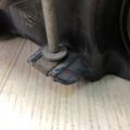 6L1Z-13008-BA | Фара лев. FORD EXPEDITION 03-06 - Превью 11