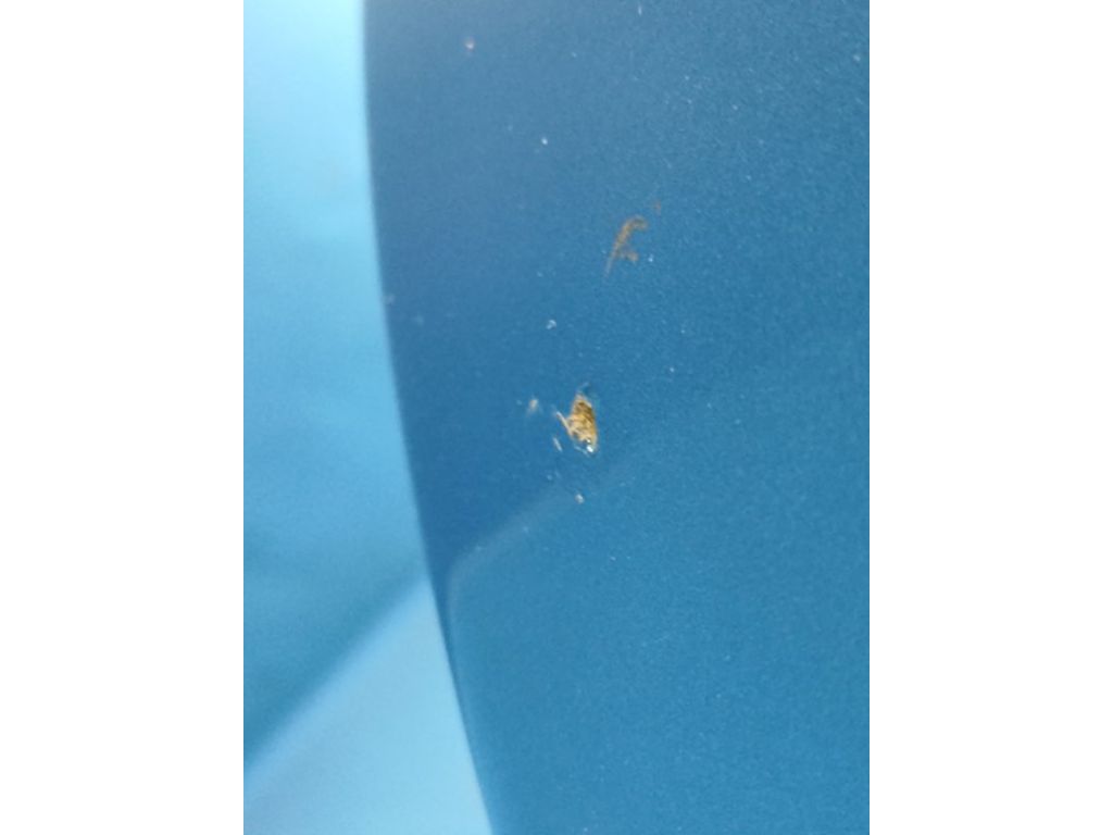 68242348AA | Кришка багажника JEEP COMPASS 17-21 - Фото 6