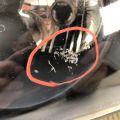 25958359 | Фара лів. CHEVROLET IMPALA 06-16 - Прев'ю 10