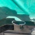 5116300AE | Панель передня DODGE JOURNEY 08-20 - Прев'ю 6