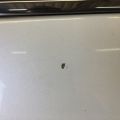 23376623 | Двері задн. лів. CHEVROLET EQUINOX 09-17 - Прев'ю 6