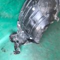 63840-7FA0A | Підкрилок передн. прав. NISSAN X-TRAIL/ROGUE T32 13-20 - Прев'ю 4