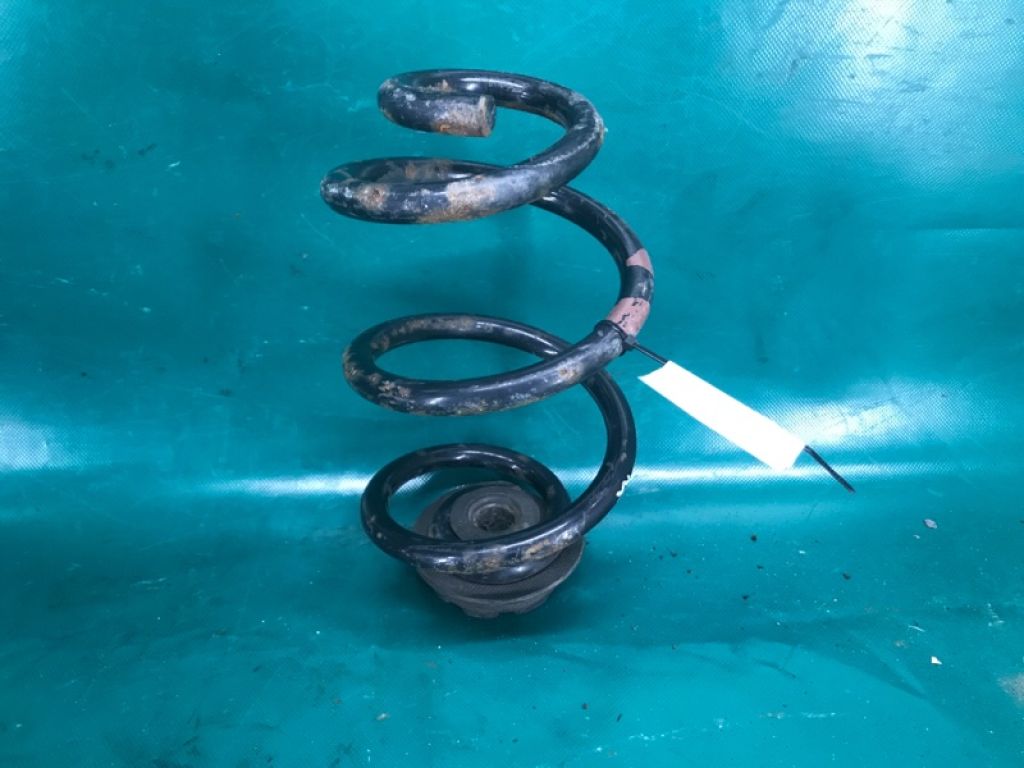 550203YV1B | Пружина задньої підвіски NISSAN JUKE 10-19