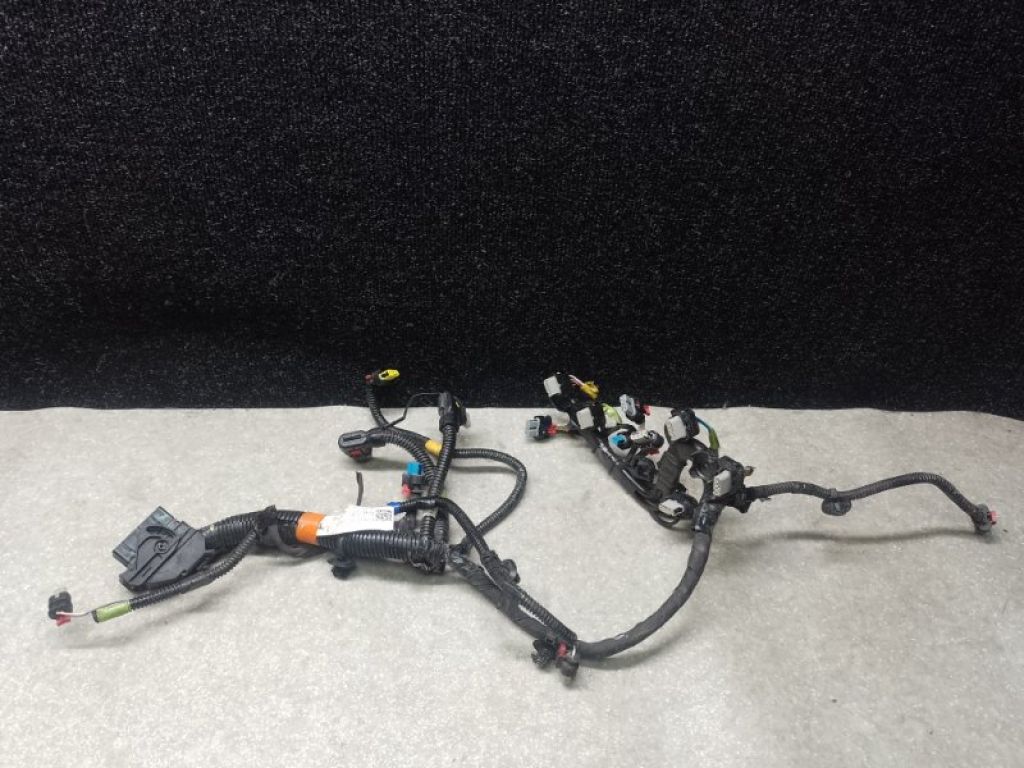 2489056-00-B | Електропроводка TESLA MODEL Y 19-