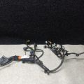 2489056-00-B | Електропроводка TESLA MODEL Y 19-
