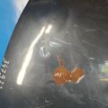 60100-SNB-000ZZ | Капот HONDA CIVIC 4D 06-11 - Превью 6