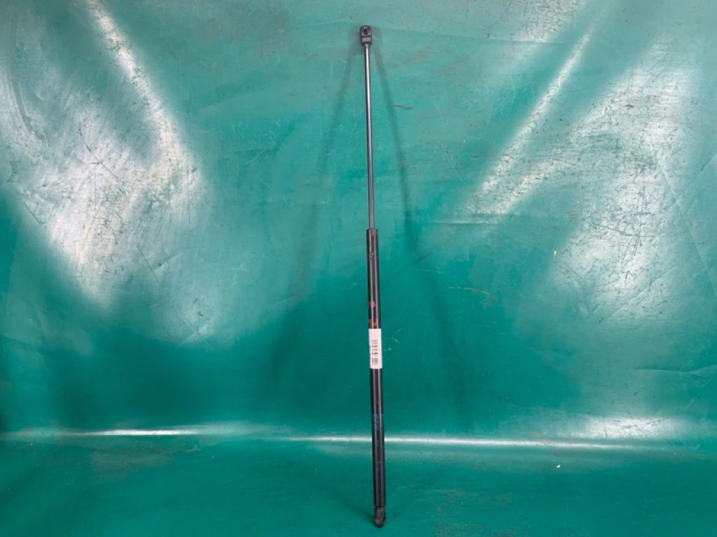 FA1Z-16C826-D | Амортизатор капоту лів. LINCOLN MKX 16-18 - Фото 2